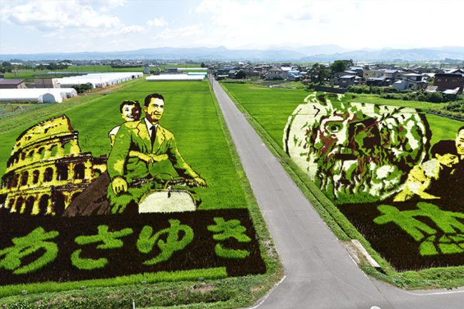 就像一幅真實的畫！ 　稻田裡湧現的巨型藝術