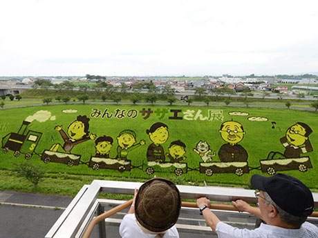 فن حقل أرز Sazae-san في ازدهار كامل في Aomori - الحجم الذي لا يتناسب مع الصورة هو موضوع
