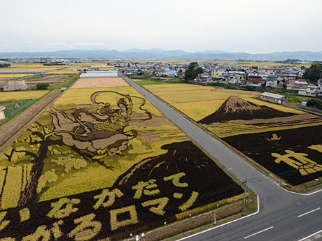 Ma下参观了青森和稻中的秋天染上稻田的艺术品