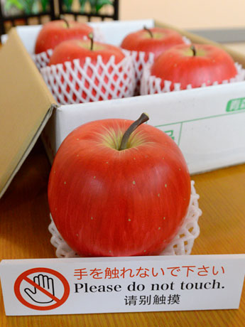 外表逼真的苹果是弘前市的热门话题-一些游客购买苹果作为室内装饰和礼物