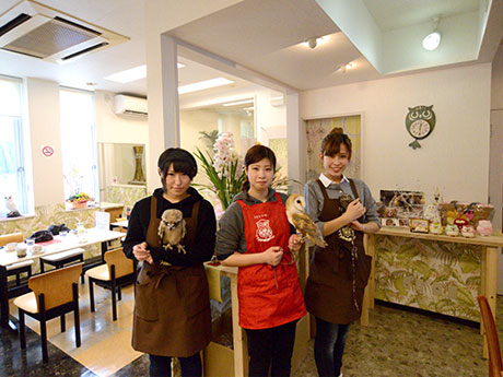 उल्लू कैफे पहली बार जातो के तोहोकू में खुलता है, हिरोसाकी सिटी-पहले दिन, स्टोर खुलने से पहले एक लाइन होती है