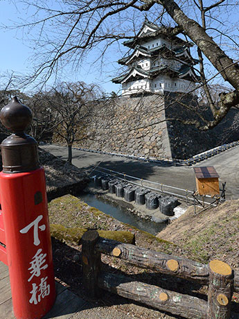 Le château d'Hirosaki Uchibori est ouvert gratuitement pendant le festival Sakura Les attentes augmentent pour le château d'Hirosaki et les fleurs de cerisier levant les yeux