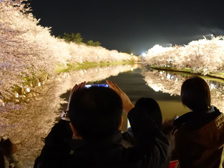 Las "flores de cerezo al revés" en el parque Hirosaki se iluminan durante una hora.