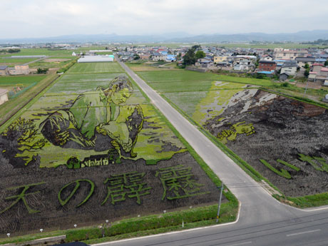 Aomori / Inakadate Village Rice Field Art A exibição começa este ano, "E o vento levou" e "Guerra nas estrelas"