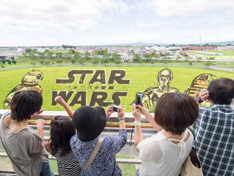 Changements dans l'art des rizières d'Aomori dans le nombre de visiteurs "Star Wars" a augmenté d'environ 30% l'année dernière