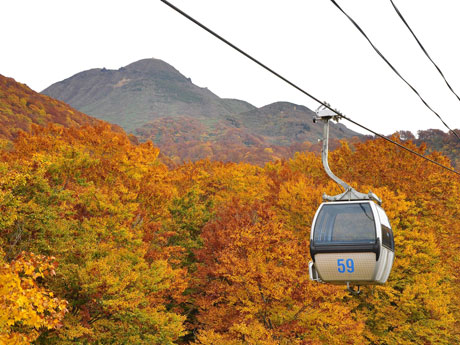 As folhas de outono estão em plena floração em Aomori e no Monte Iwaki. Alguns espectadores tiram fotos da gôndola