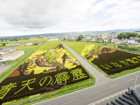 "Tambo Art" dans le village d'Inakadate, Aomori clairement dans Google Street View
