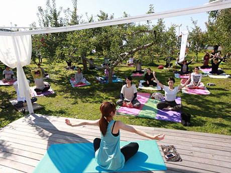 "Tsugaru Bijin" mengumpulkan 40 wanita yoga di bawah pokok epal
