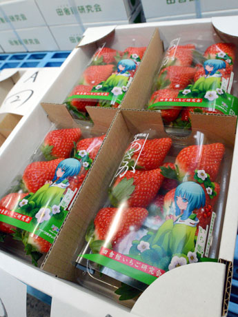 Aomori में स्थानीय स्ट्रॉबेरी के लिए चरित्र चित्र
