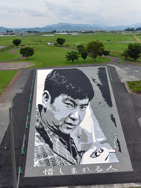 El arte de piedra de Yujiro Ishihara y Ken Takakura en Inakadate, el arte del campo de arroz de Aomori Godzilla