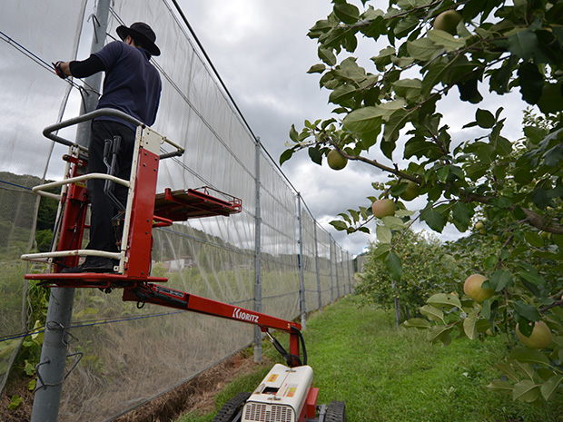 O agricultor de maçãs de Hirosaki é perseguido pelo tufão "ilegível" nº 10 que se aproxima