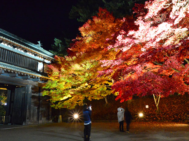Illuminated autumn leaves at Hirosaki Park, talking about "not just beautiful spring"
