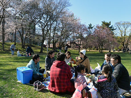 Budget pour l'observation des fleurs de cerisier à Aomori, n ° 1 au Japon La voix des citoyens qui ont lancé le festival Sakura