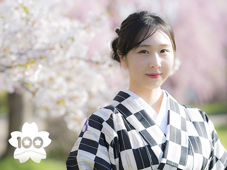 "Hirosaki Cherry Blossom Festival" Panggilan Video Perancangan Ulang Tahun ke-100 untuk Kunjungan di Kimono