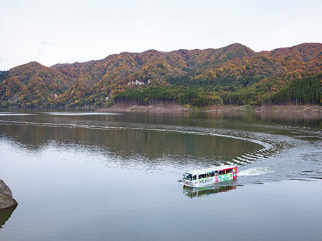 Amphibious Bus Tour of Dam Lake in Aomori Enjoy the Four Seasons of the Shirakami Mountains