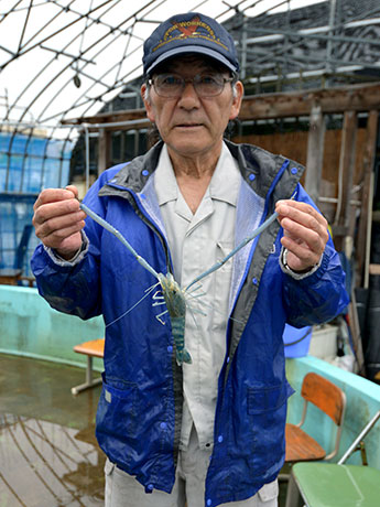 El "foso de pesca de camarón Onitenaga" de Hirosaki está más animado de lo habitual durante 30 años