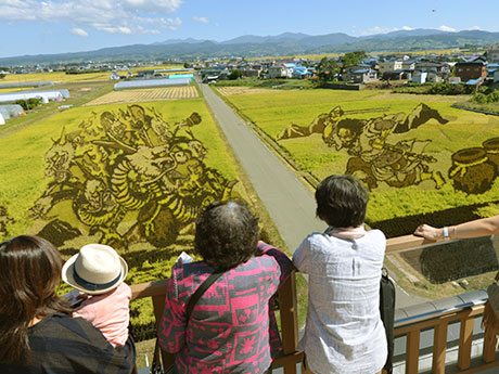 Seni sawah di Aomori / Inakadate, masa terbaik untuk melihat musim luruh