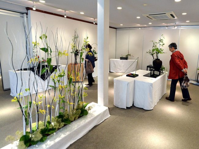 Exposition Ikebana à Hirosaki, qui existe depuis plus de 200 ans et n'est pas née.