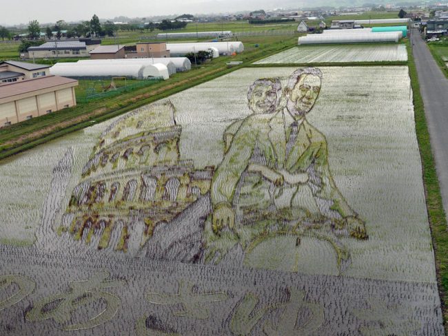 Рисовое поле открыто для публики в Инакадатэ, Аомори "Римские каникулы" "Персонаж Осаму Тэдзука"