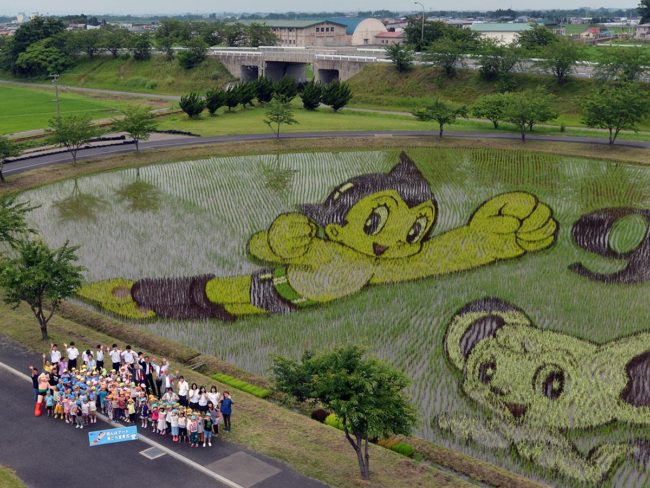 Искусство рисового поля в деревне Аомори / Инакадате объявляет «Римские каникулы» лучшим персонажем Осаму Тэдзука.