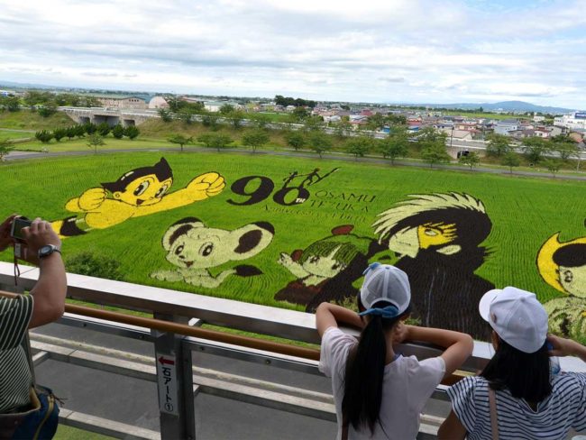 在青森縣/ Rakukan觀看稻田藝術的最佳時間