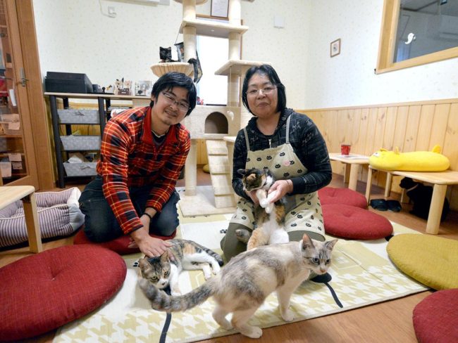 हिरोसाकी के उपनगरों में एक बिल्ली कैफे, एक विवाहित जोड़े द्वारा चलाया जाता है और विविध सामानों की बिक्री करता है