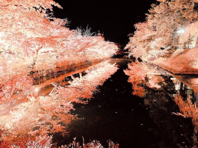 Освещенные осенние листья в парке Хиросаки, о которых рассказали в сети В этом году «Эмои»