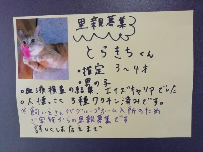 Hirosaki cat protection activists raise awareness about breeding environment