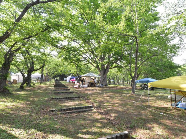 히로사키 · 이와키 크래프트 이벤트 '쓰가루 숲'추돌 사고 방지 나 열사병 대책 촉구