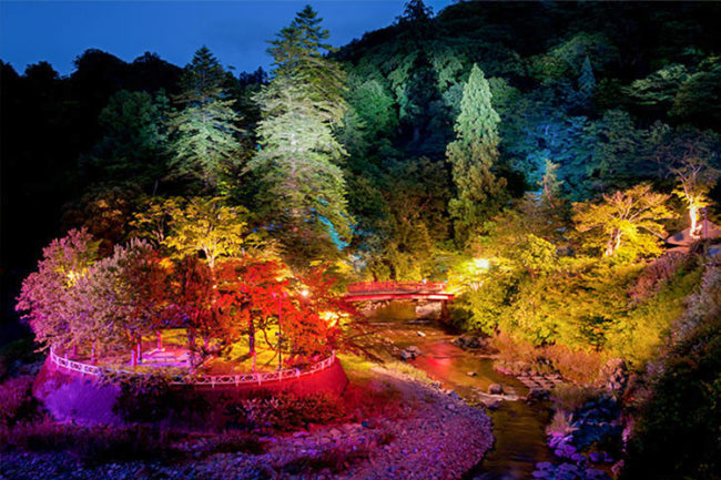 秋葉的著名景點閃耀著七種顏色　讓我們欣賞美麗的風景！