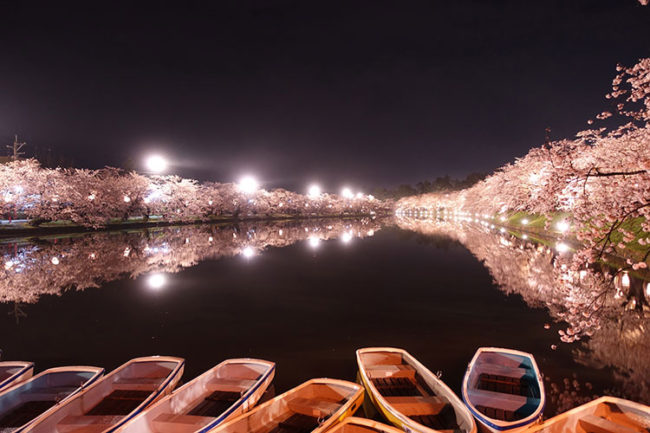 Perkhidmatan yang disyorkan di mana anda dapat melihat bunga sakura di "Hirosaki Park", tempat bunga sakura yang paling terkenal di Jepun