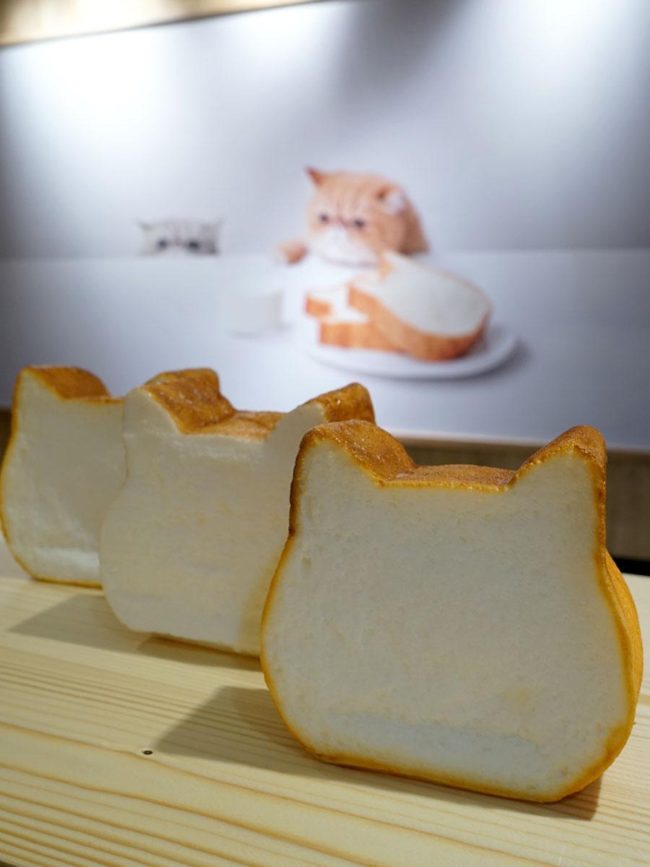 東北商店的第一隻貓Cat Cat Bread在中弘大開業　主要是貓形麵包