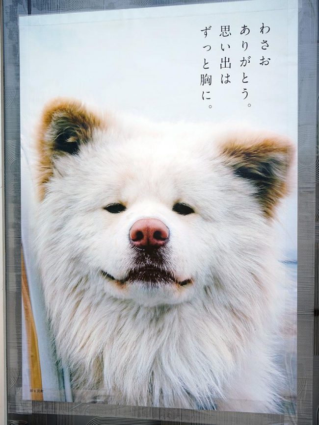 "वासाओ" मेमोरियल पोस्टर फिल्म "वासो" को अजिगसावा-चो, आओमोरी में फिर से दिखाया गया
