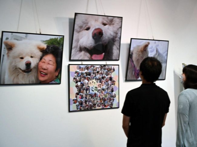 Closing of photo exhibition “Wasao Memorial” in Aomori