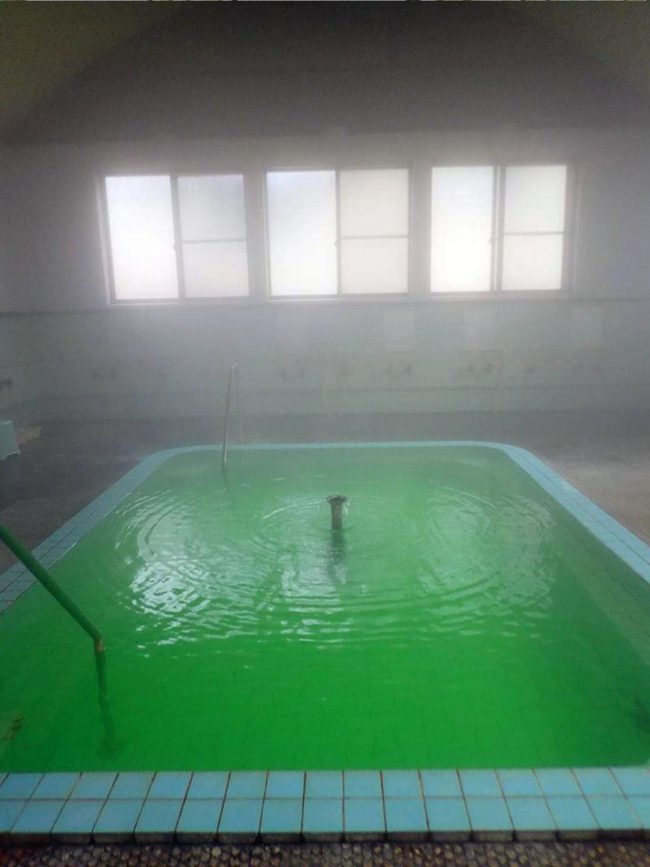 एसएनएस पर अपील के लिए आओमरी कॉलिंग में एक पन्ना हरे गर्म वसंत में फोटो सत्र