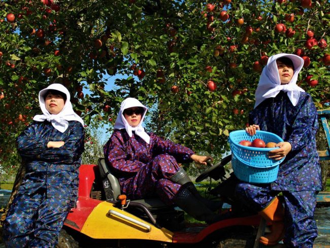 ผู้หญิงสามคนที่อพยพมาที่อาโอโมริยังแนะนำปาร์ตี้ชิมออนไลน์ " ผลักดันแอปเปิ้ล "