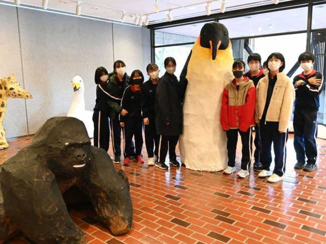 Pagpapamalas ng proyekto ng proyekto ng mag-aaral sa junior high school sa Hirosaki 2 meter penguins na manika