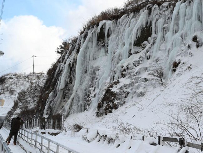 La "cortina de hielo" en Aomori y Fukaura está en plena floración antes de lo habitual debido al clima frío.