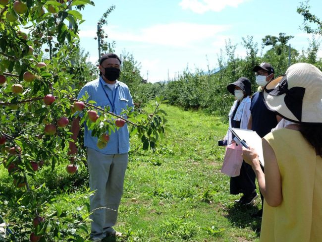 Experimente un agricultor de manzanas en Aomori y Fujisaki Beber jugo y asar hormonas