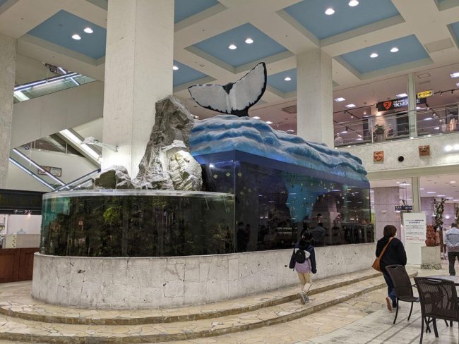К концу большой аквариум Хиросаки "Аквариум" Выставляет тропических рыб уже 28 лет.