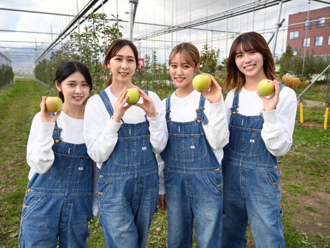 Anak perempuan epal menamatkan pertanian musim ini Penanaman epal pertama