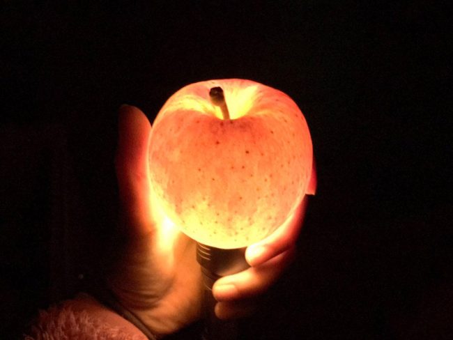 An apple with honey that shines like a lamp