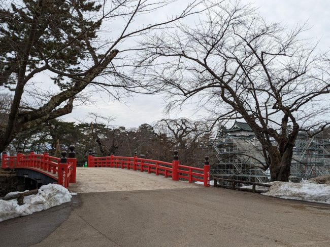 弘前公園櫻花預報今年比往年提前3天
