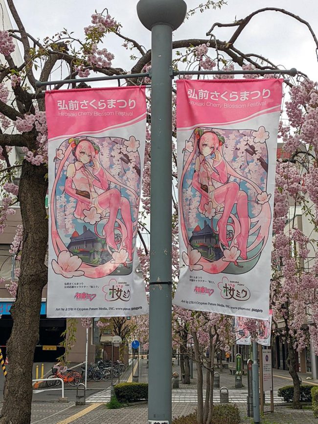 弘前市“櫻花未來”活動迎賓旗豎立，“東條紀念牌”售出
