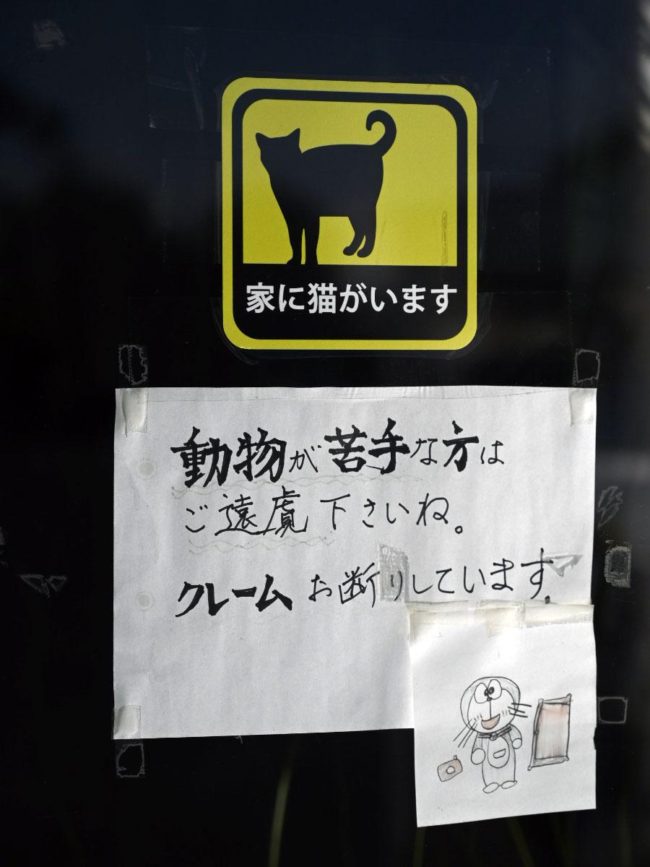 青森波派溫泉的“動物注意事項” 歡迎與貓相處的人