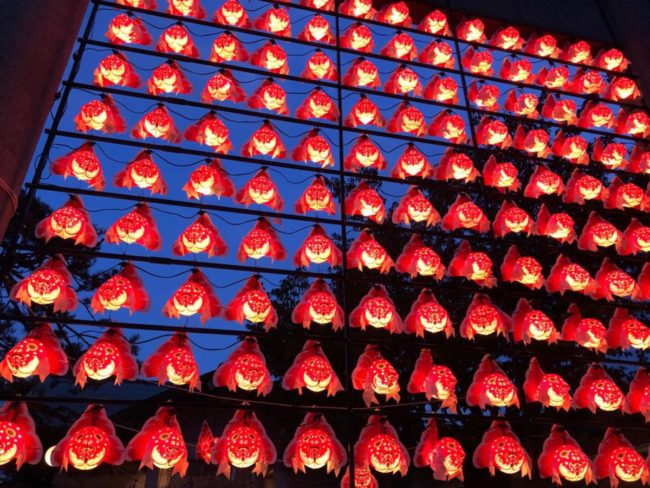 130 goldfish Nebuta lights up the night sky at Aomori Otorii