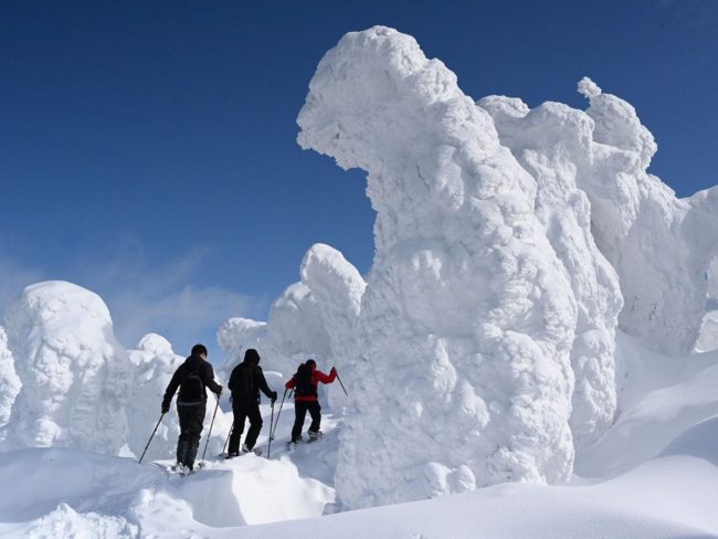 青森和八甲田看霜冻树木的最佳时间一些游客正在寻找雪怪