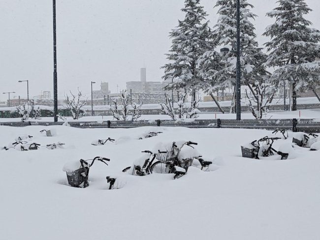 弘前市2月第二場“多卡雪” 降雪量再次超過100厘米